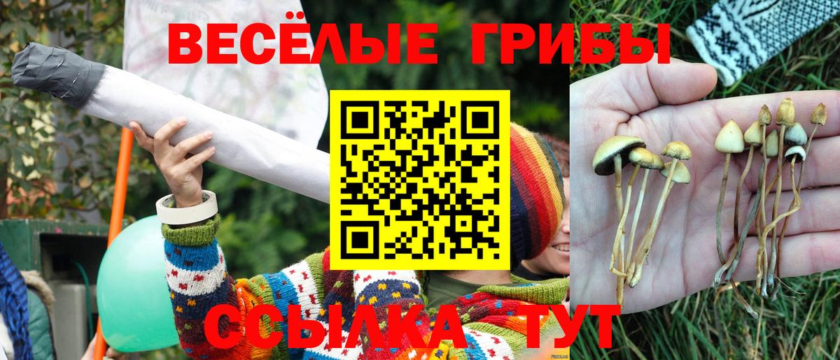 Галлюциногенные грибы Psilocybine cubensis Ишимбай