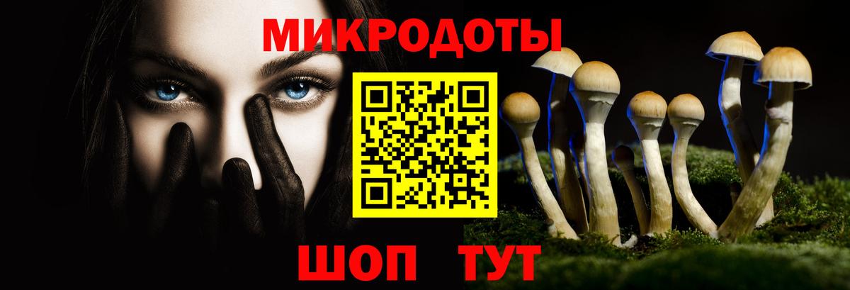 Ишимбай  Псилоцибиновые грибы GOLDEN TEACHER  Вход с VPN 