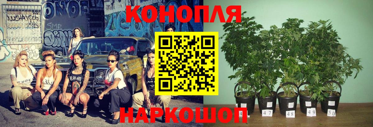 Ишимбай  Канабис Bruce Banner  Марихуана семена  Марихуана SATIVA & INDICA  Вход с VPN 